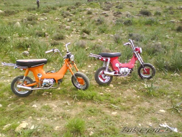 Photo 1654288
