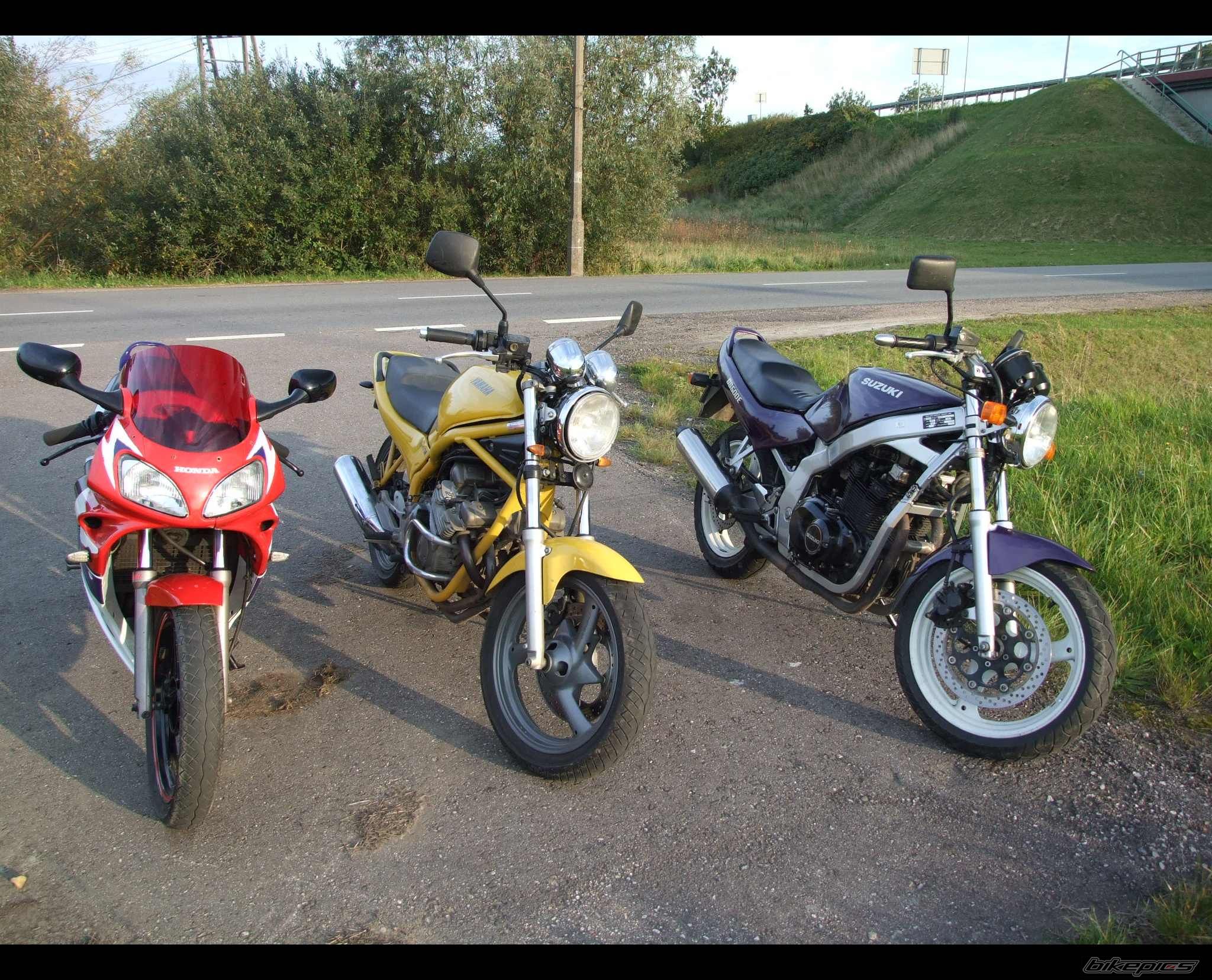 Photo 1654291