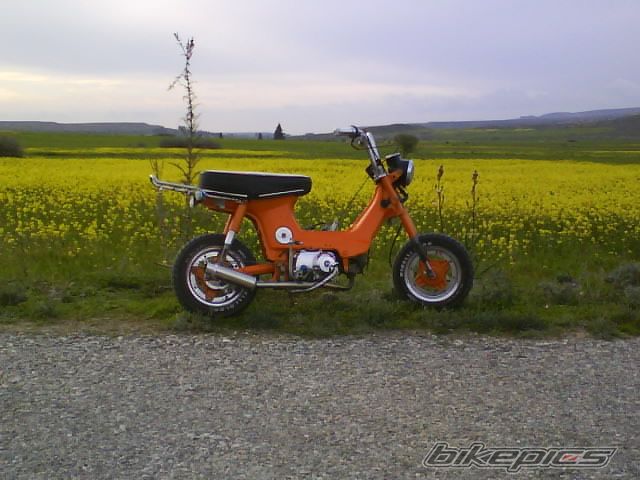 Photo 1654293