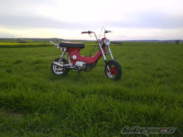 Photo 1654297