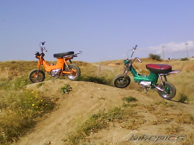 Photo 1654299