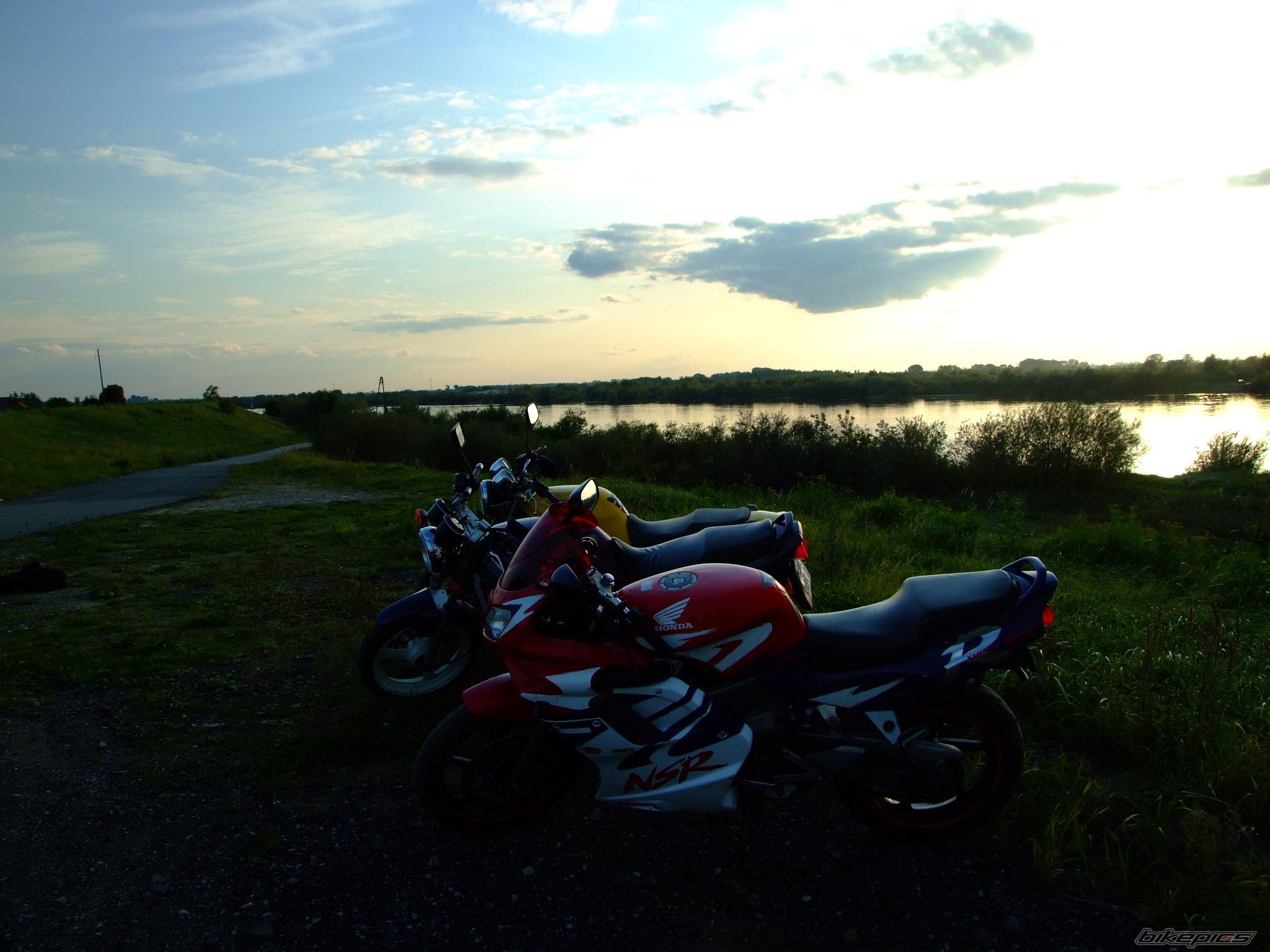 Photo 1654313