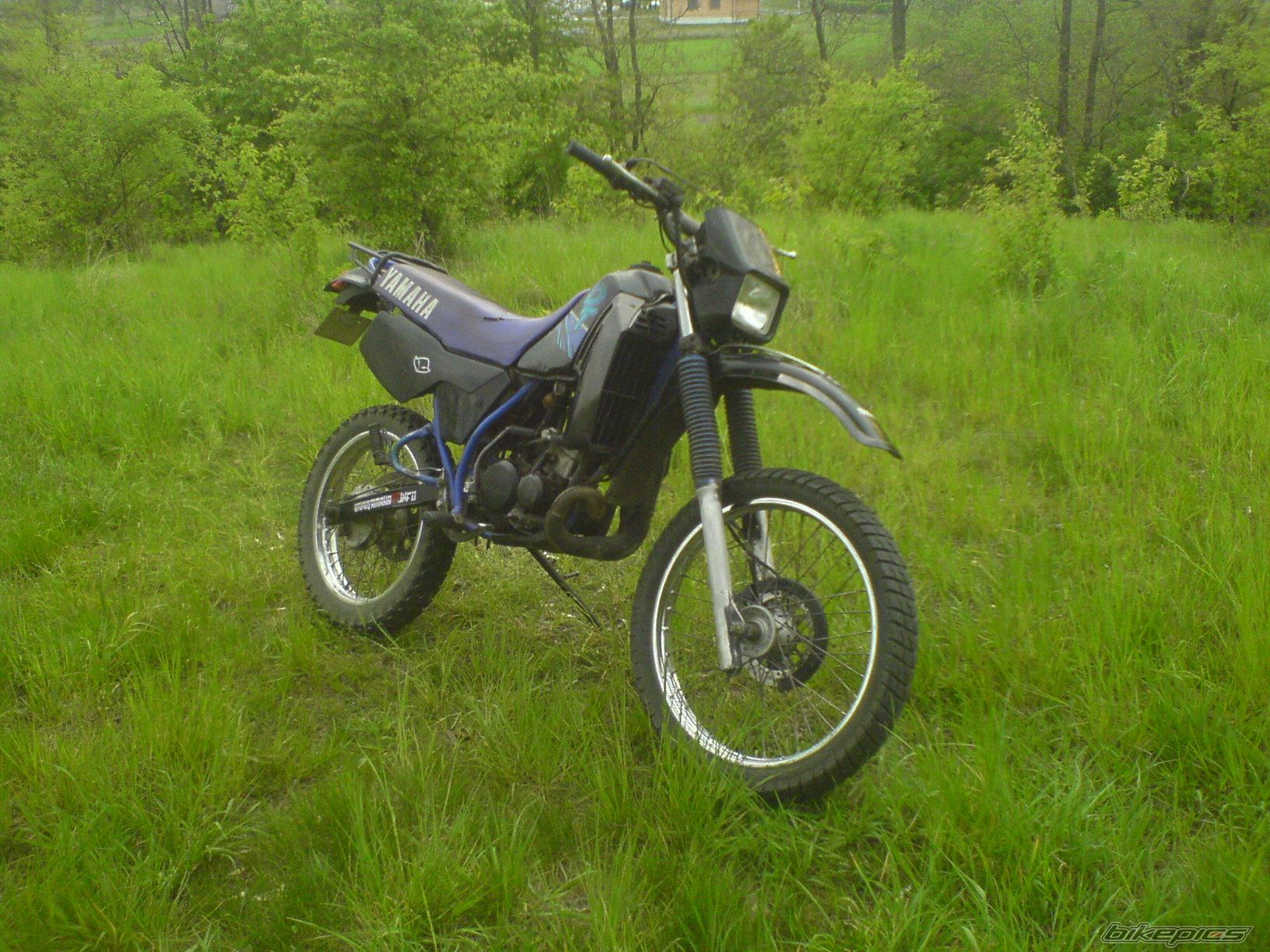 Photo 1654314