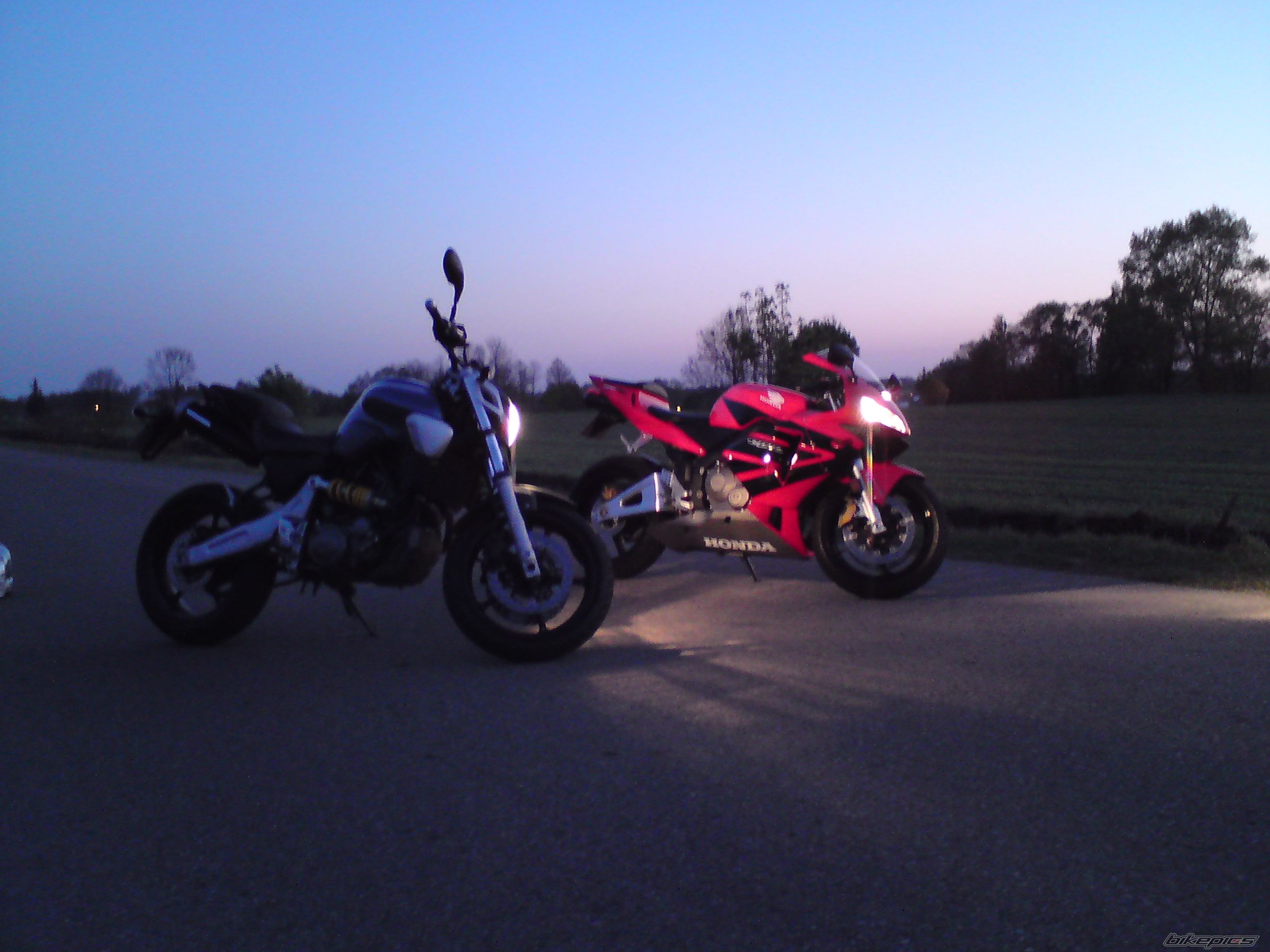 Photo 1654353