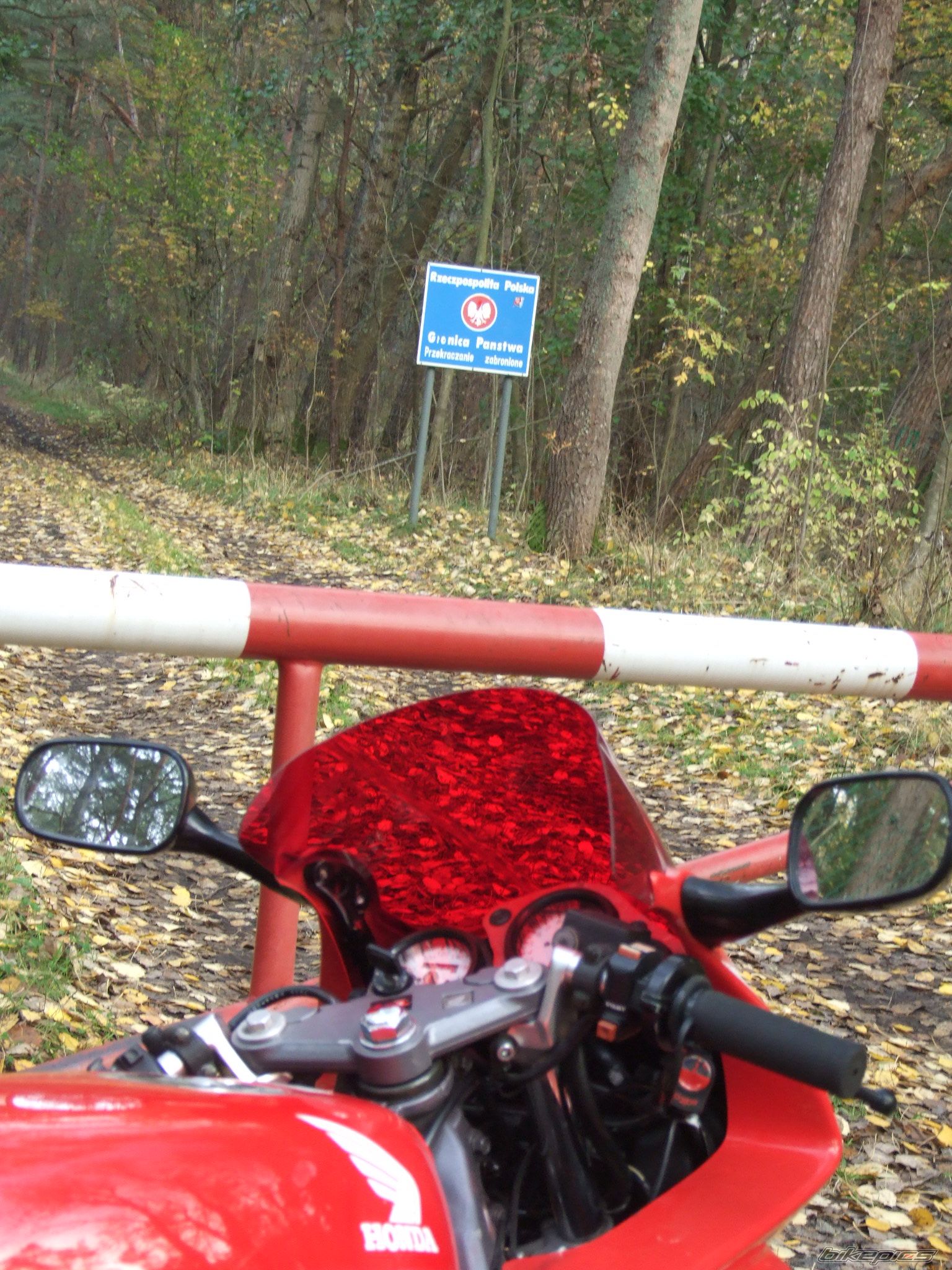 Photo 1654387
