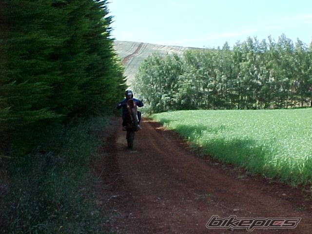 Bike Photo 165440