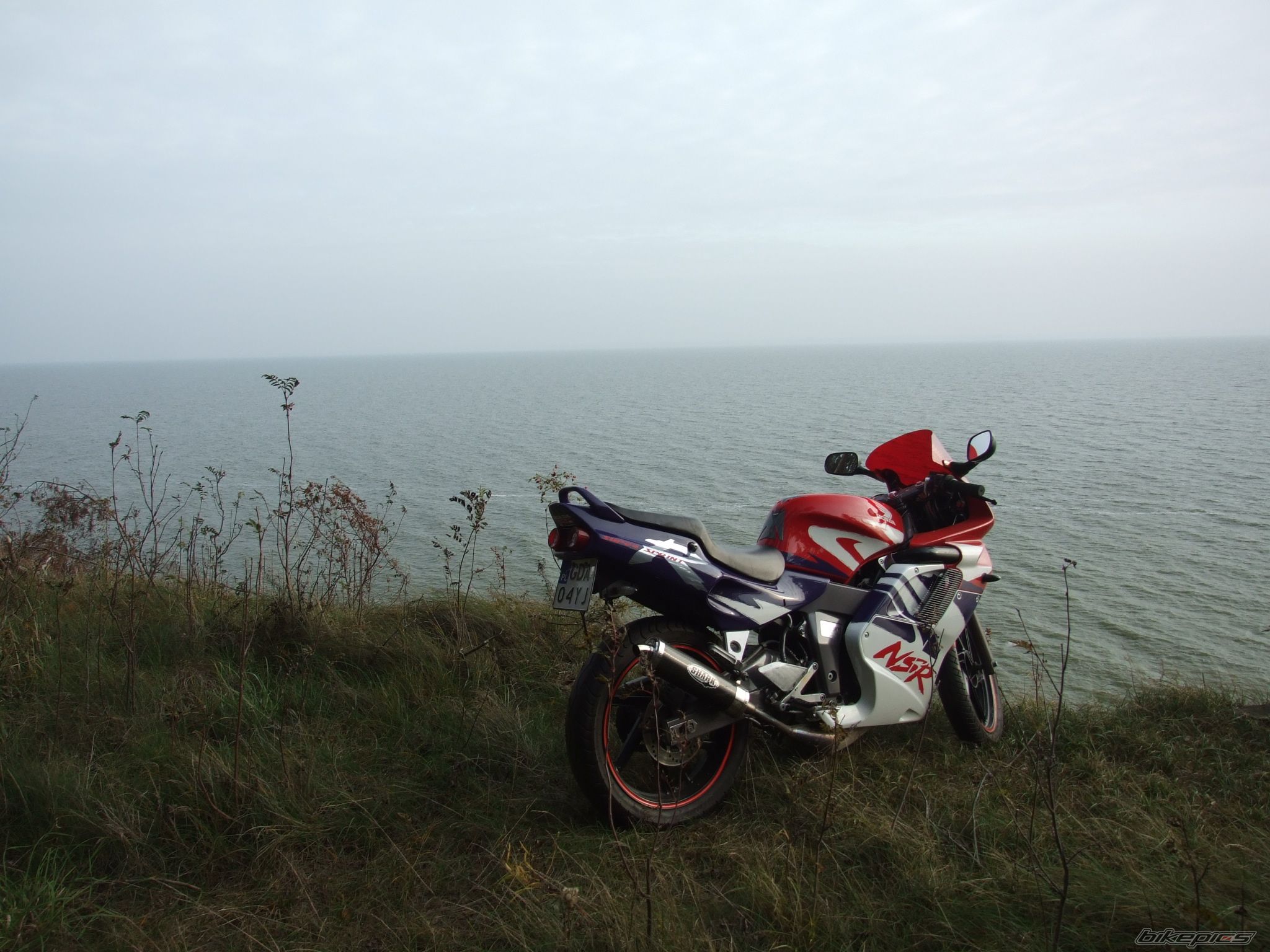 Photo 1654403