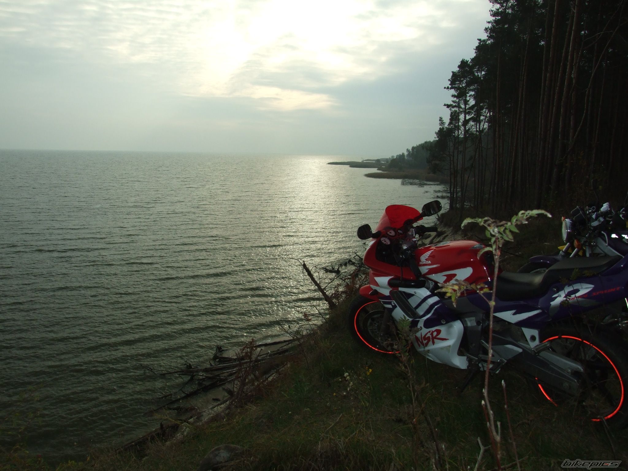 Photo 1654407