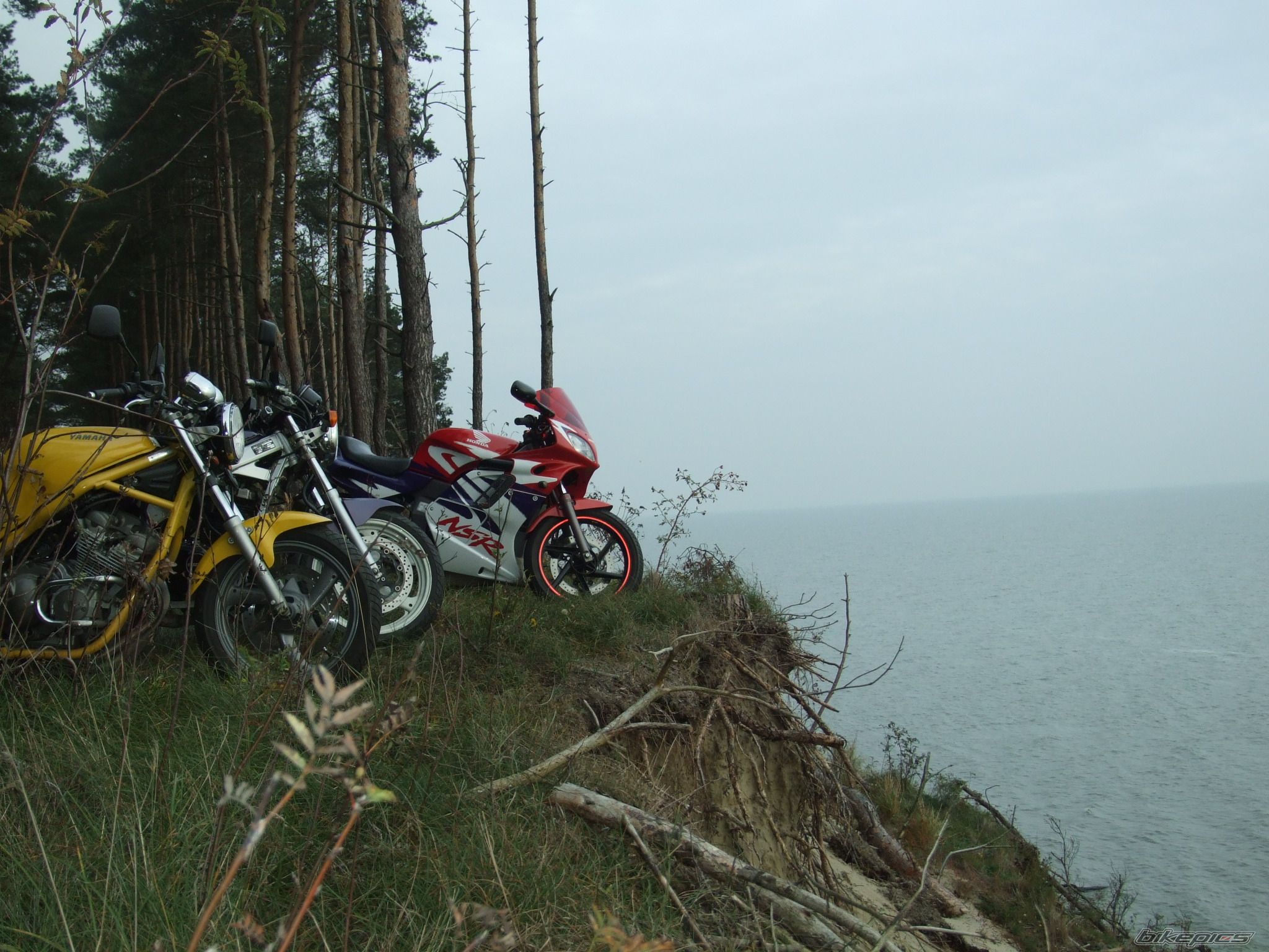 Photo 1654410