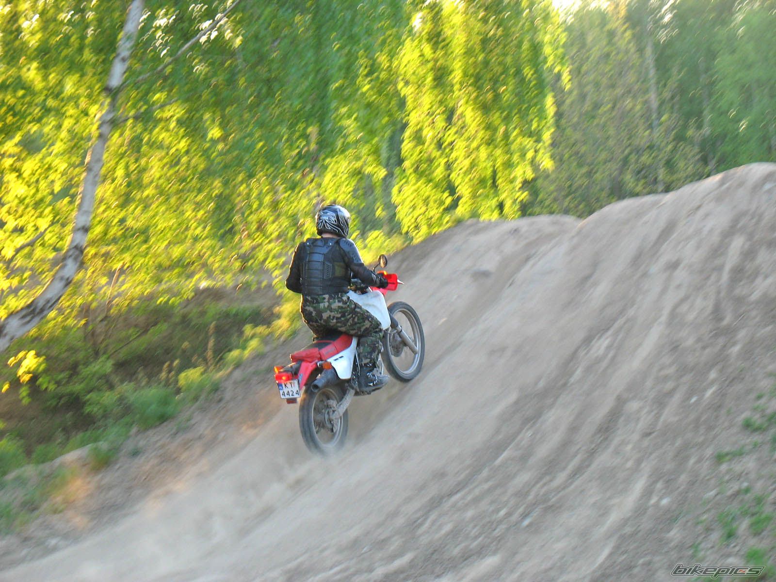 Photo 1654461