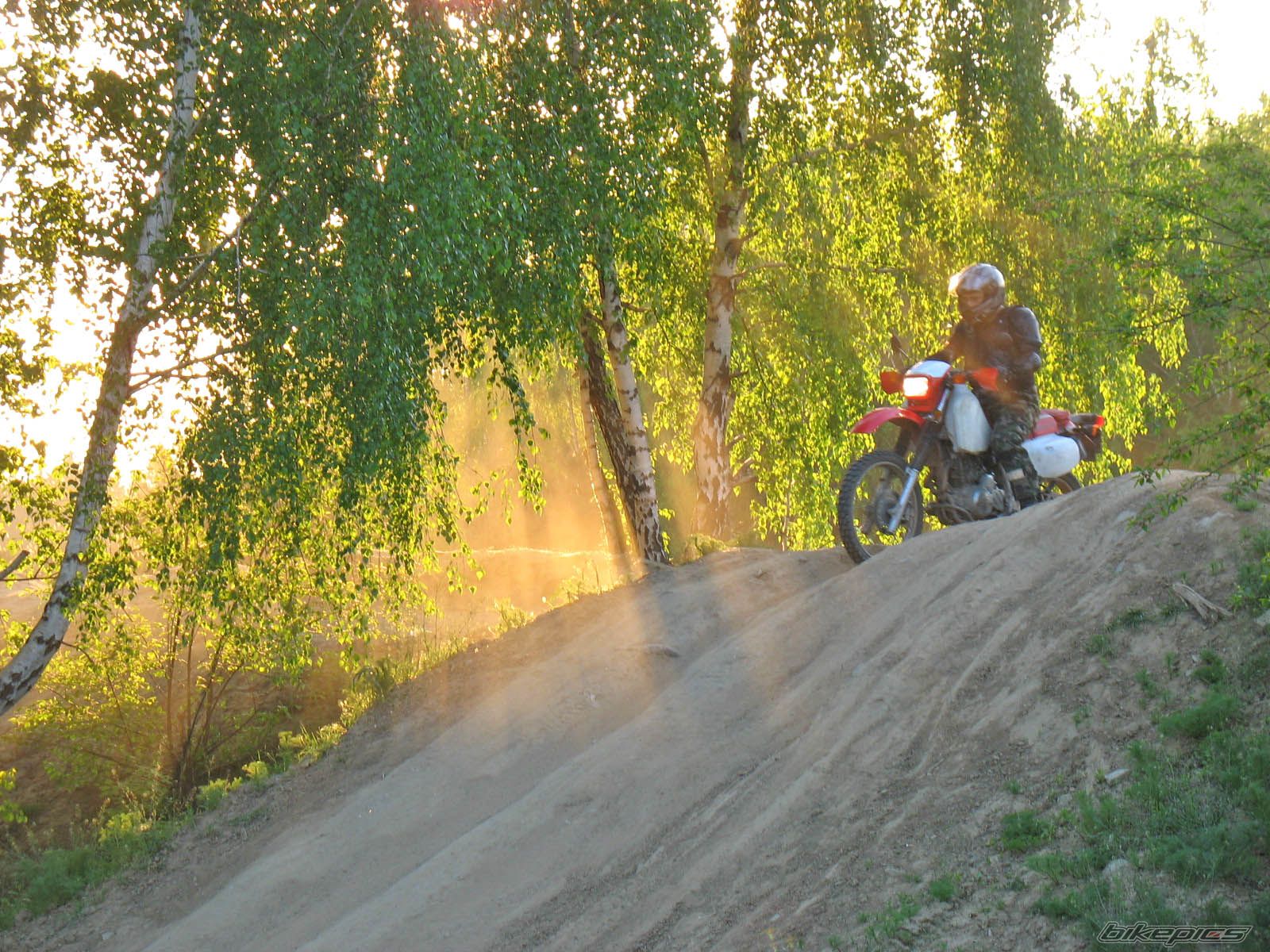 Photo 1654464