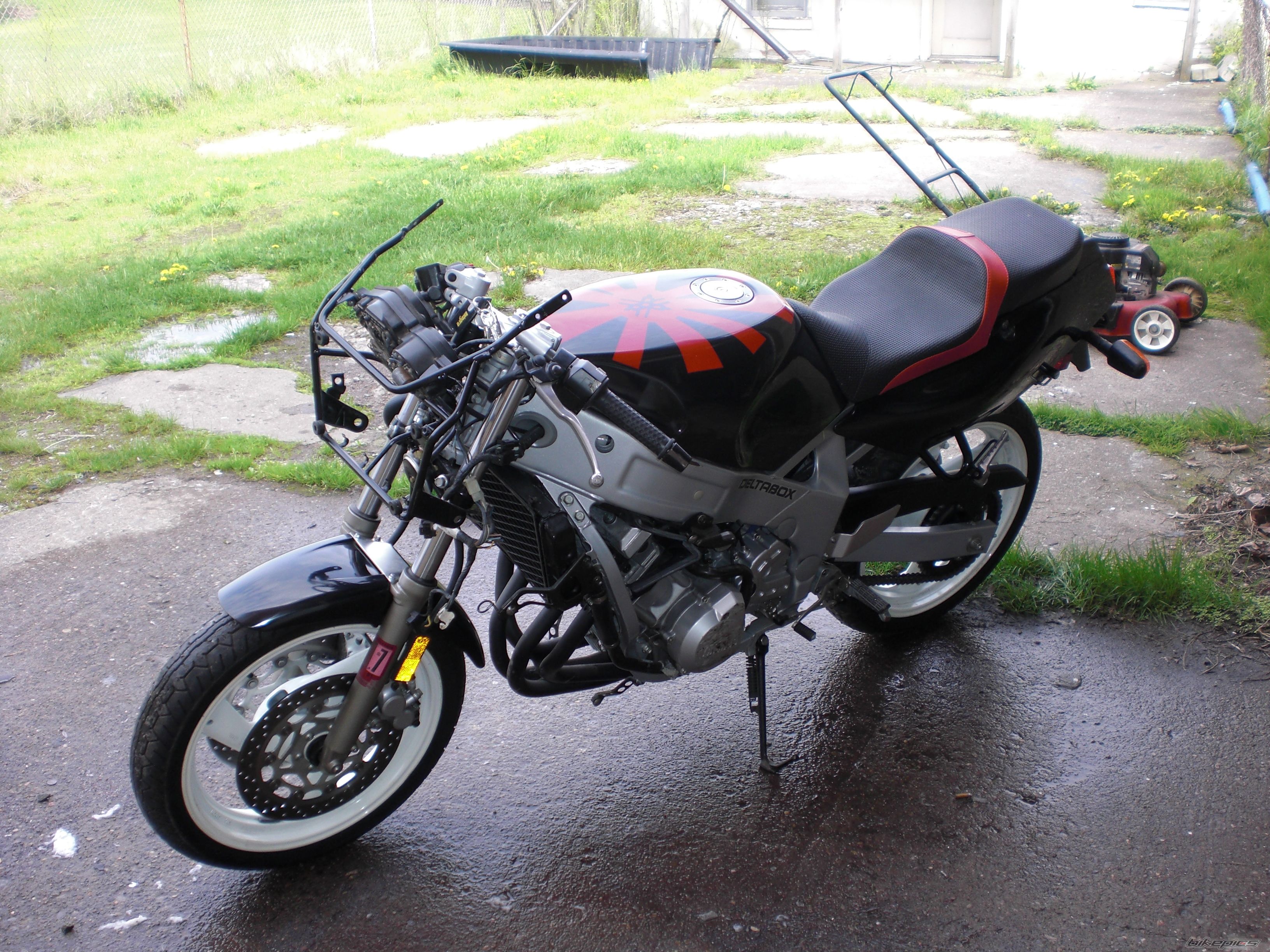 Photo 1654566
