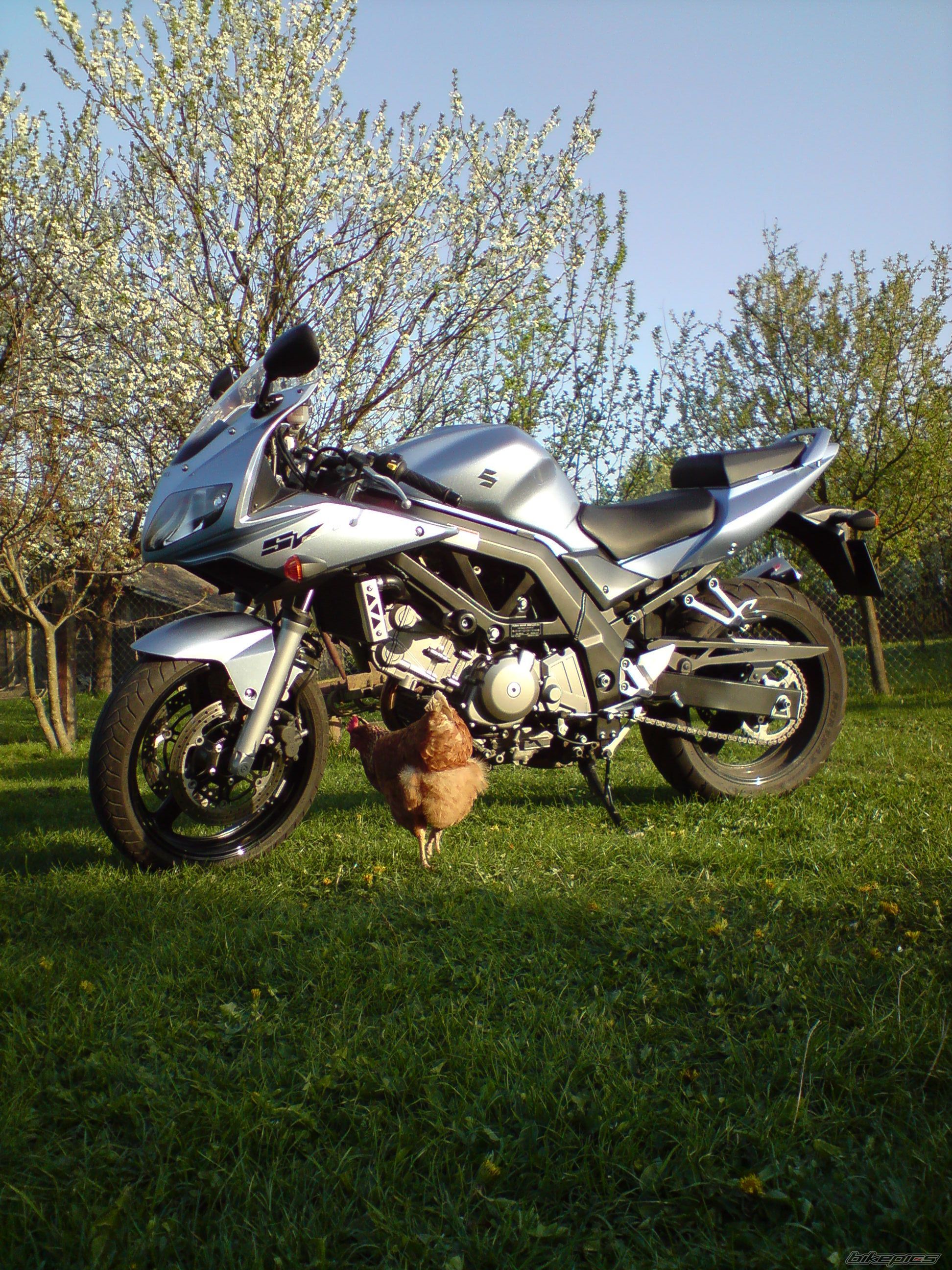 Photo 1654668