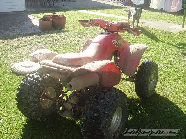 Photo 1654755