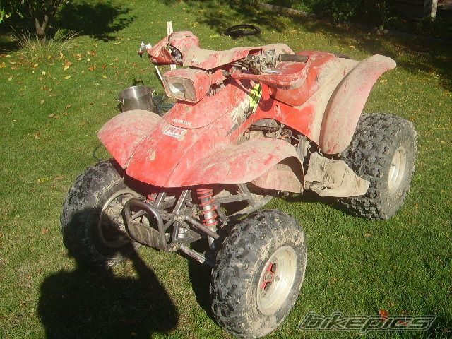 Photo 1654756