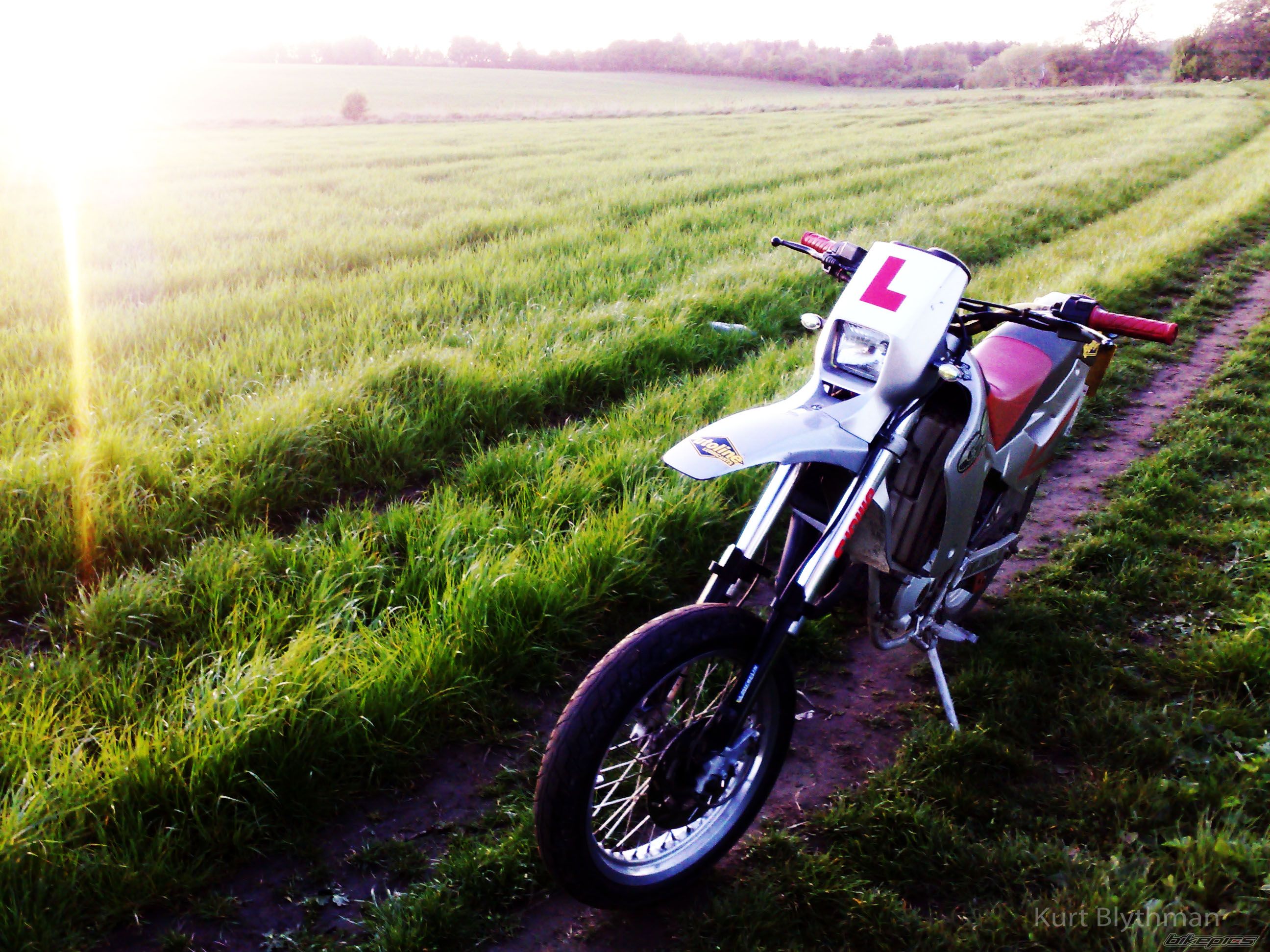 Photo 1654823