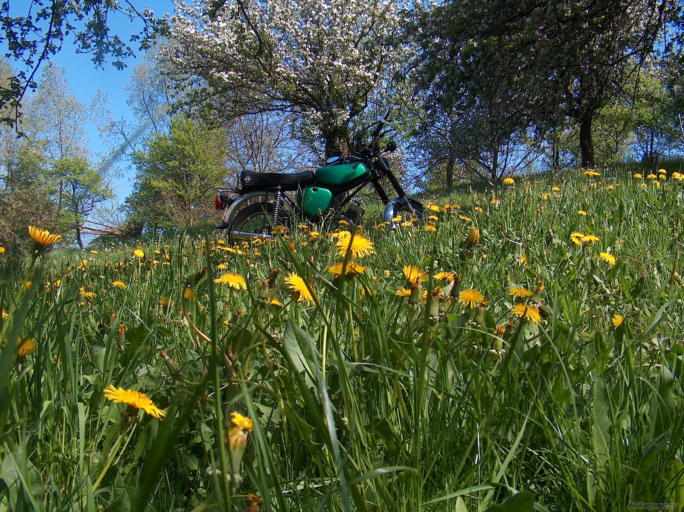 Bike Photo 1654955