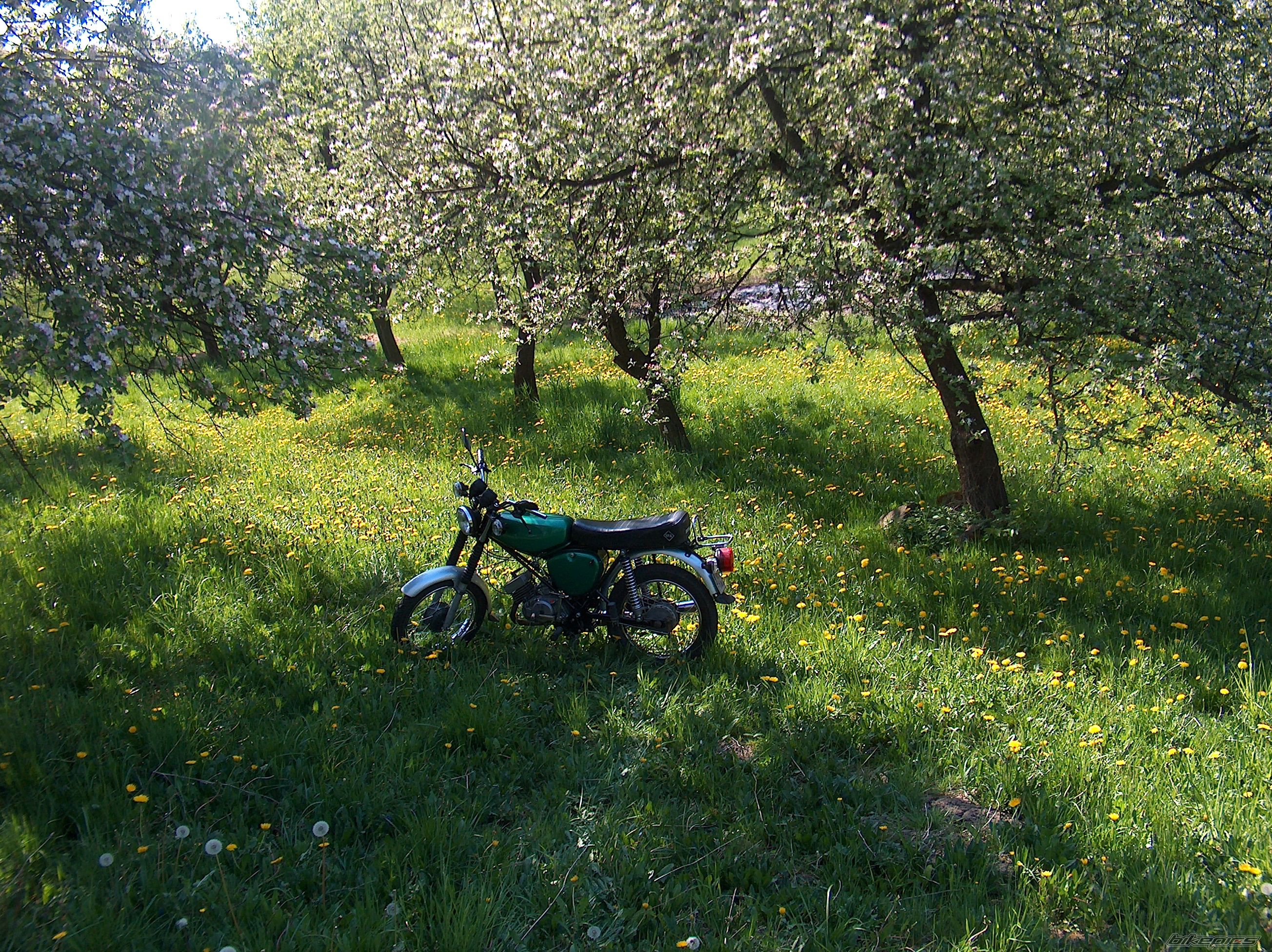 Bike Photo 1654963
