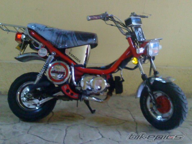 Photo 1655005