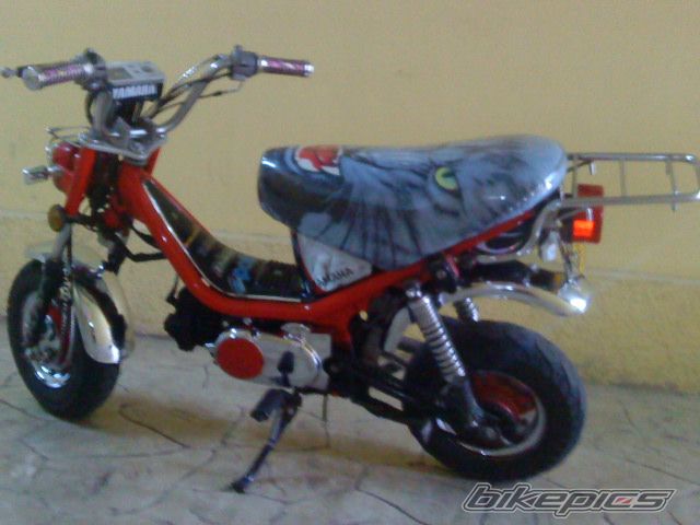 Photo 1655007