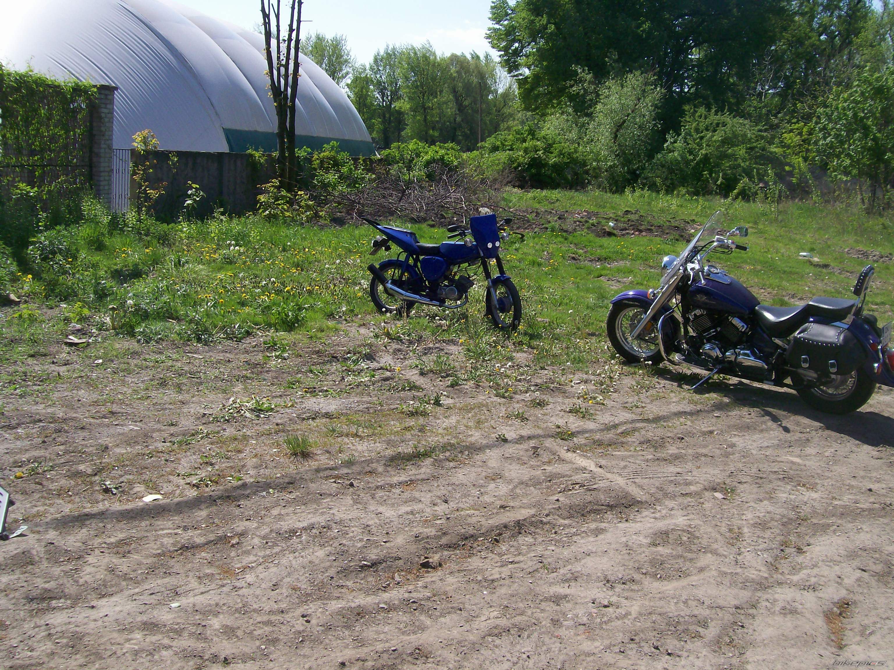 Photo 1655036