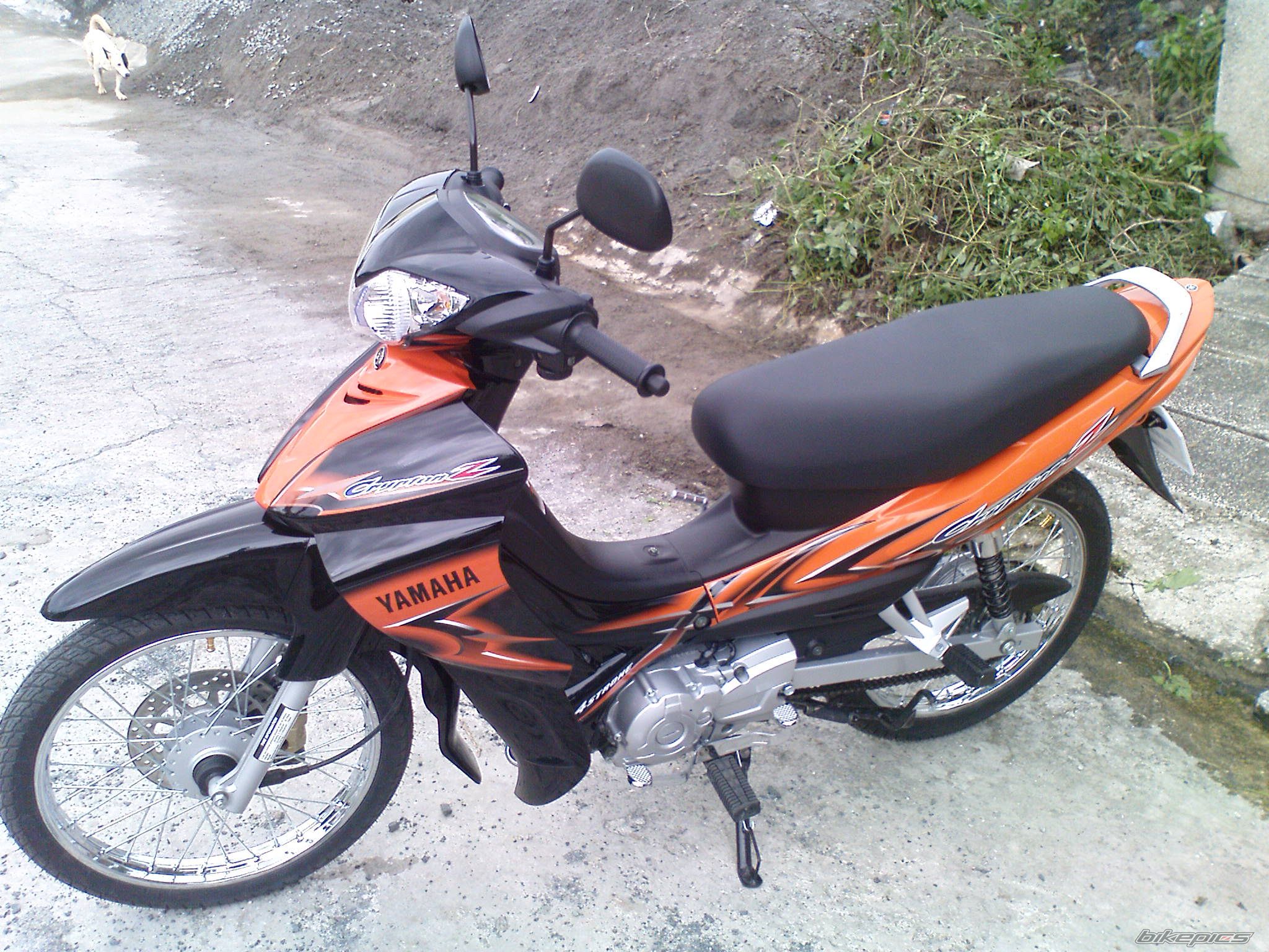 Photo 1655057