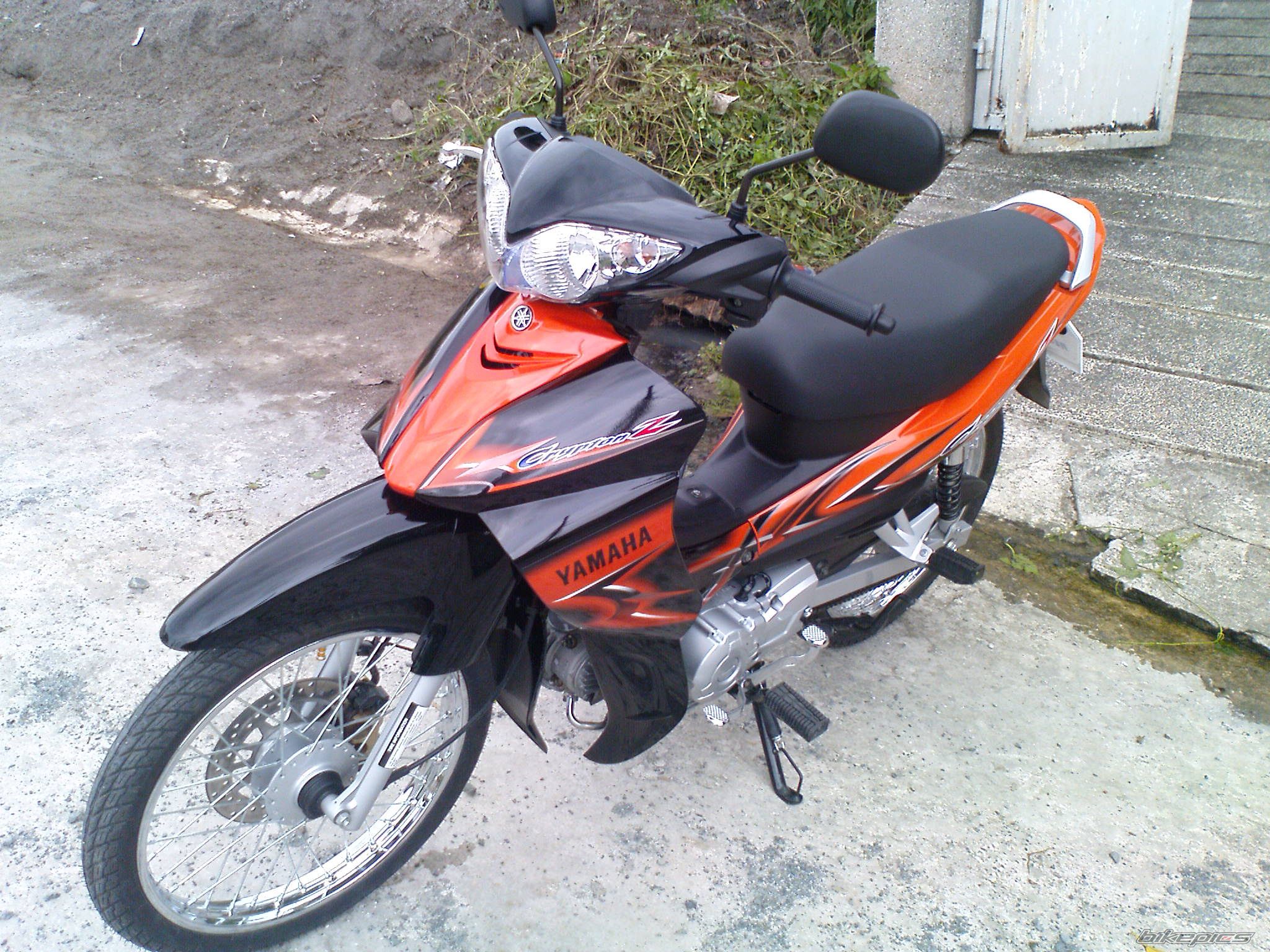 Photo 1655061