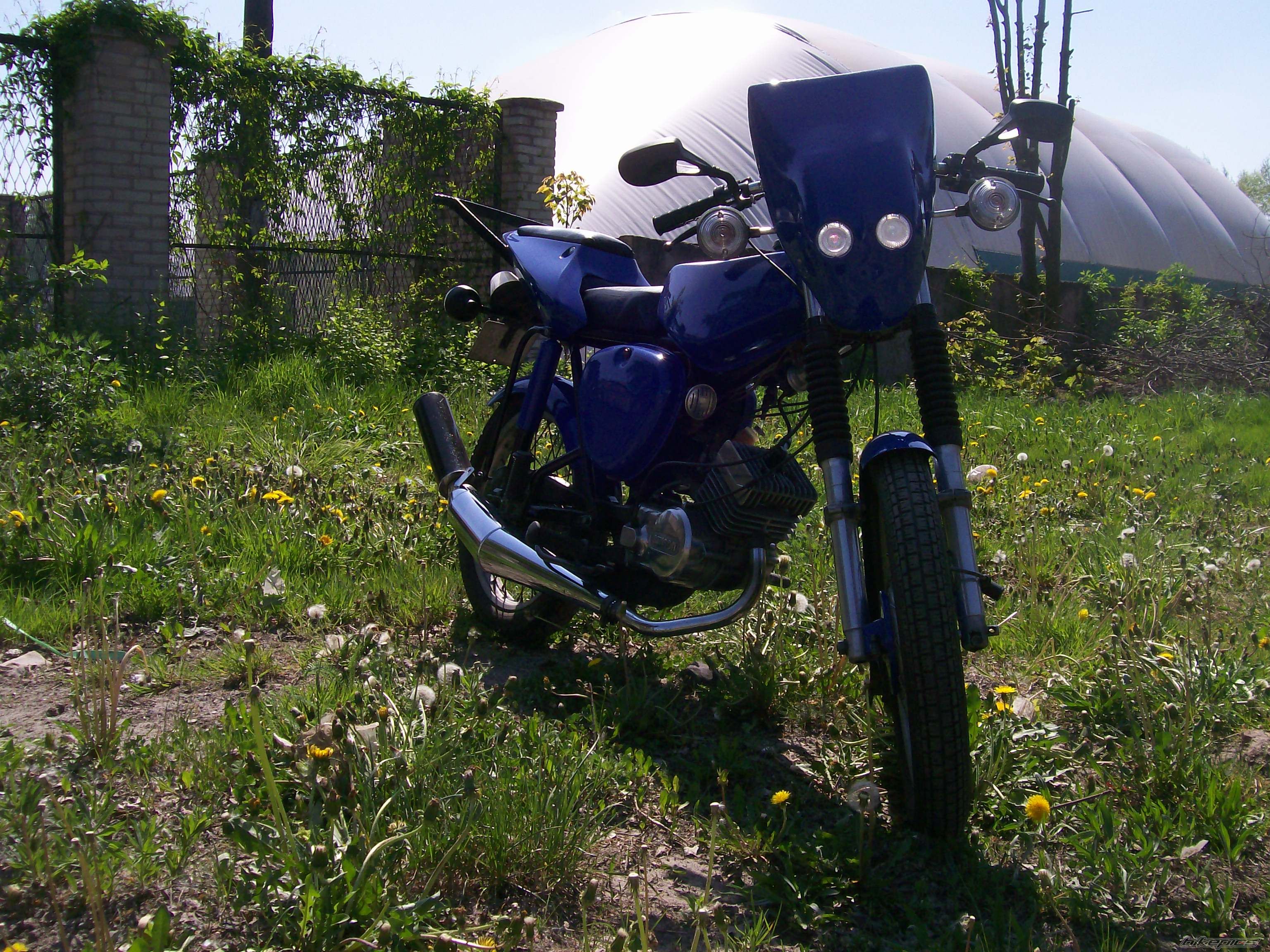 Photo 1655078