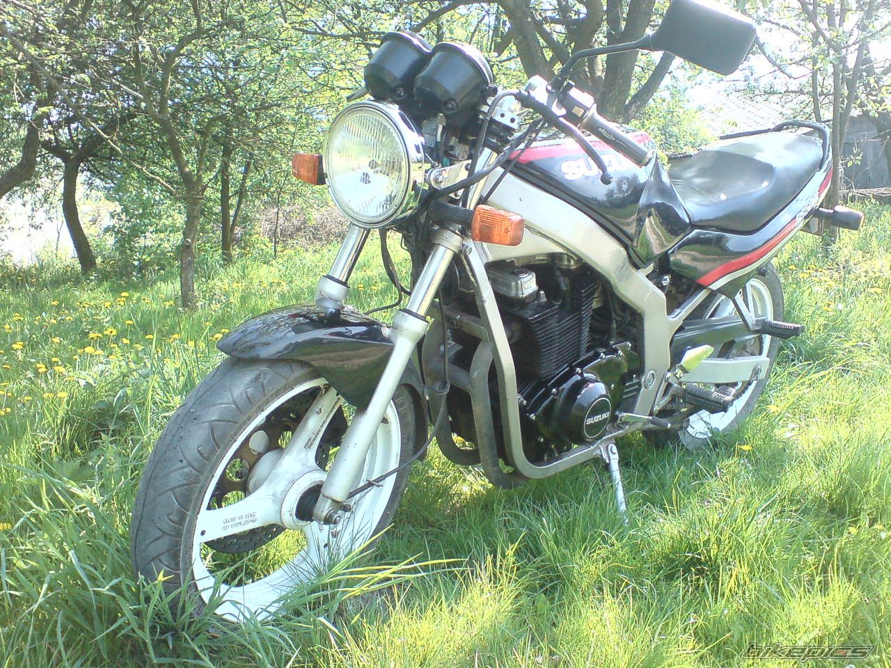 Photo 1655149