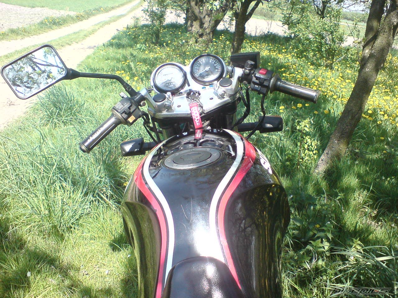 Photo 1655152