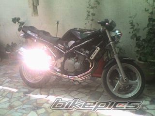 Photo 1655164
