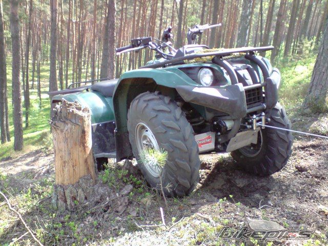 Photo 1655177