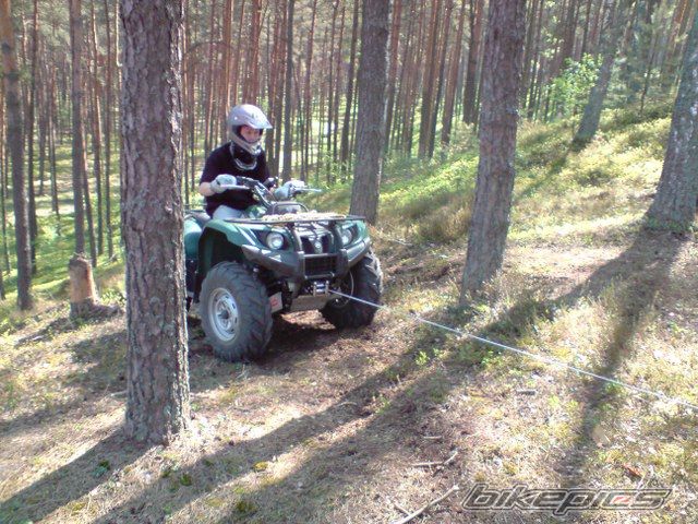 Photo 1655180