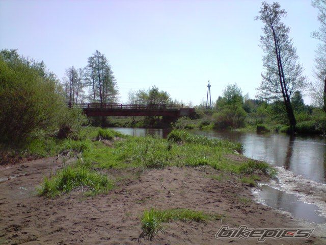 Photo 1655186