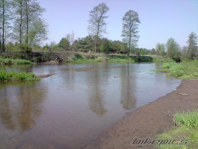 Photo 1655187