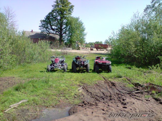 Photo 1655191