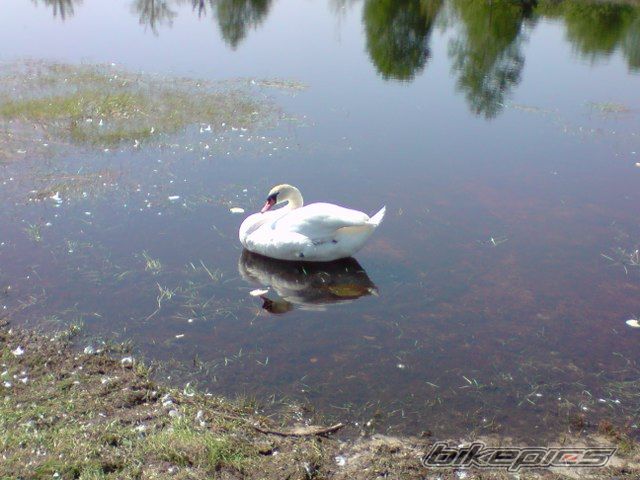 Photo 1655199