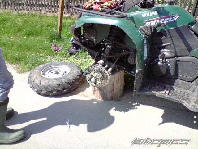 Photo 1655217