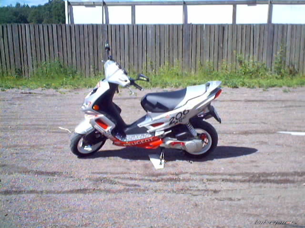 Photo 165526