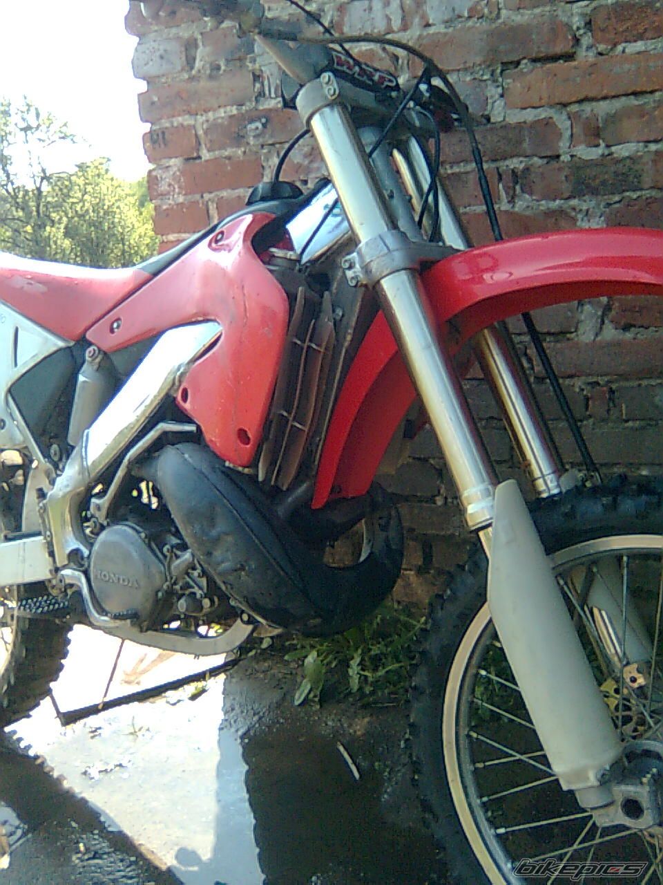 Photo 1655294