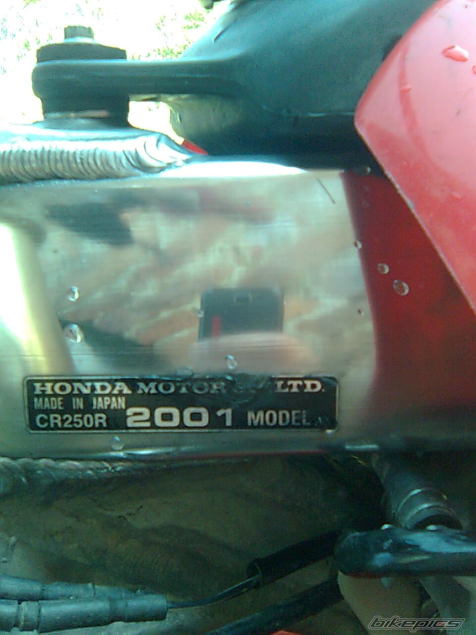 Bike Photo 1655297