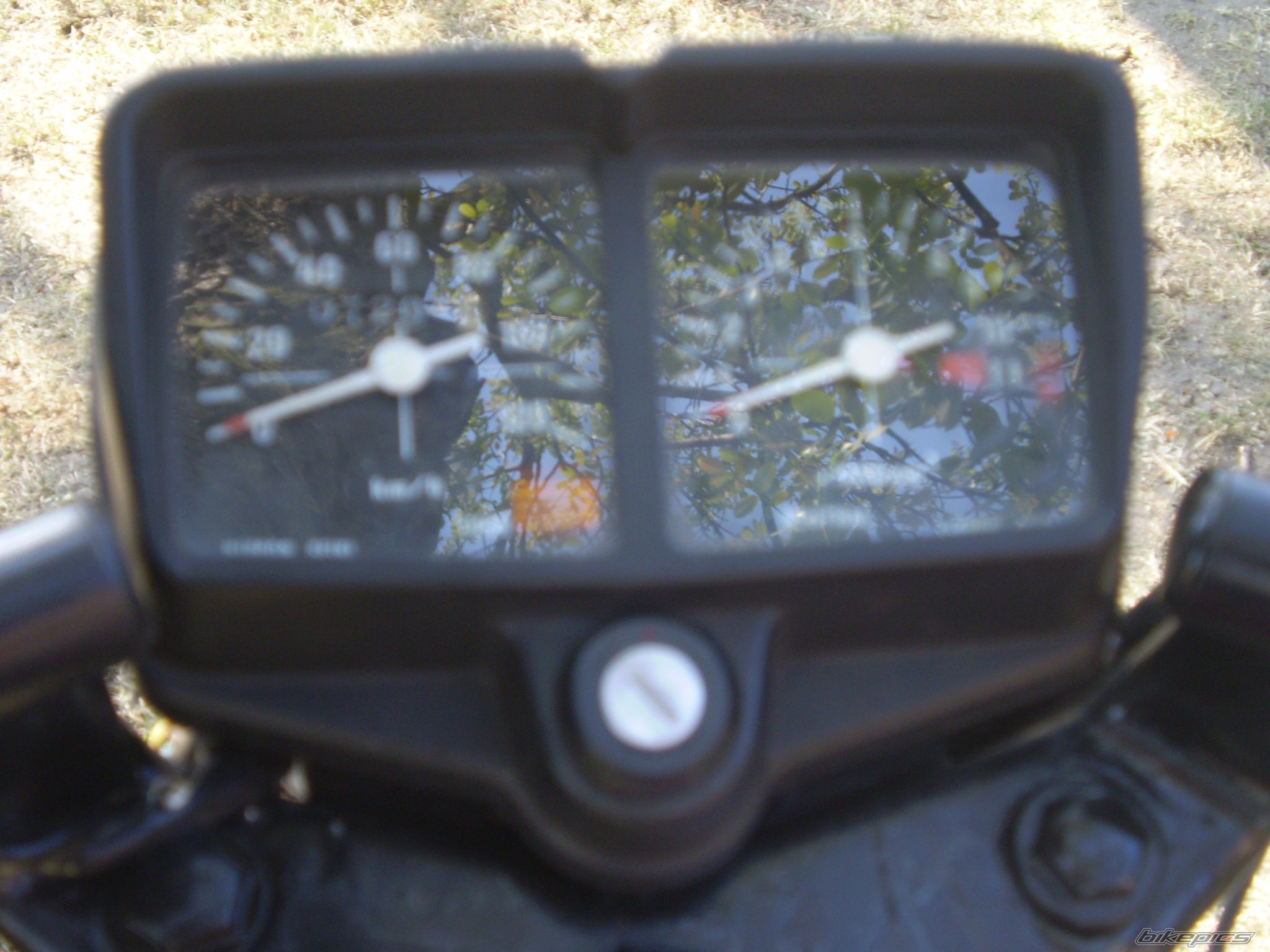 Photo 1655321