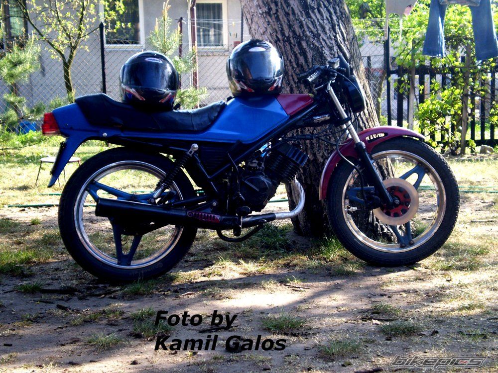 Photo 1655323