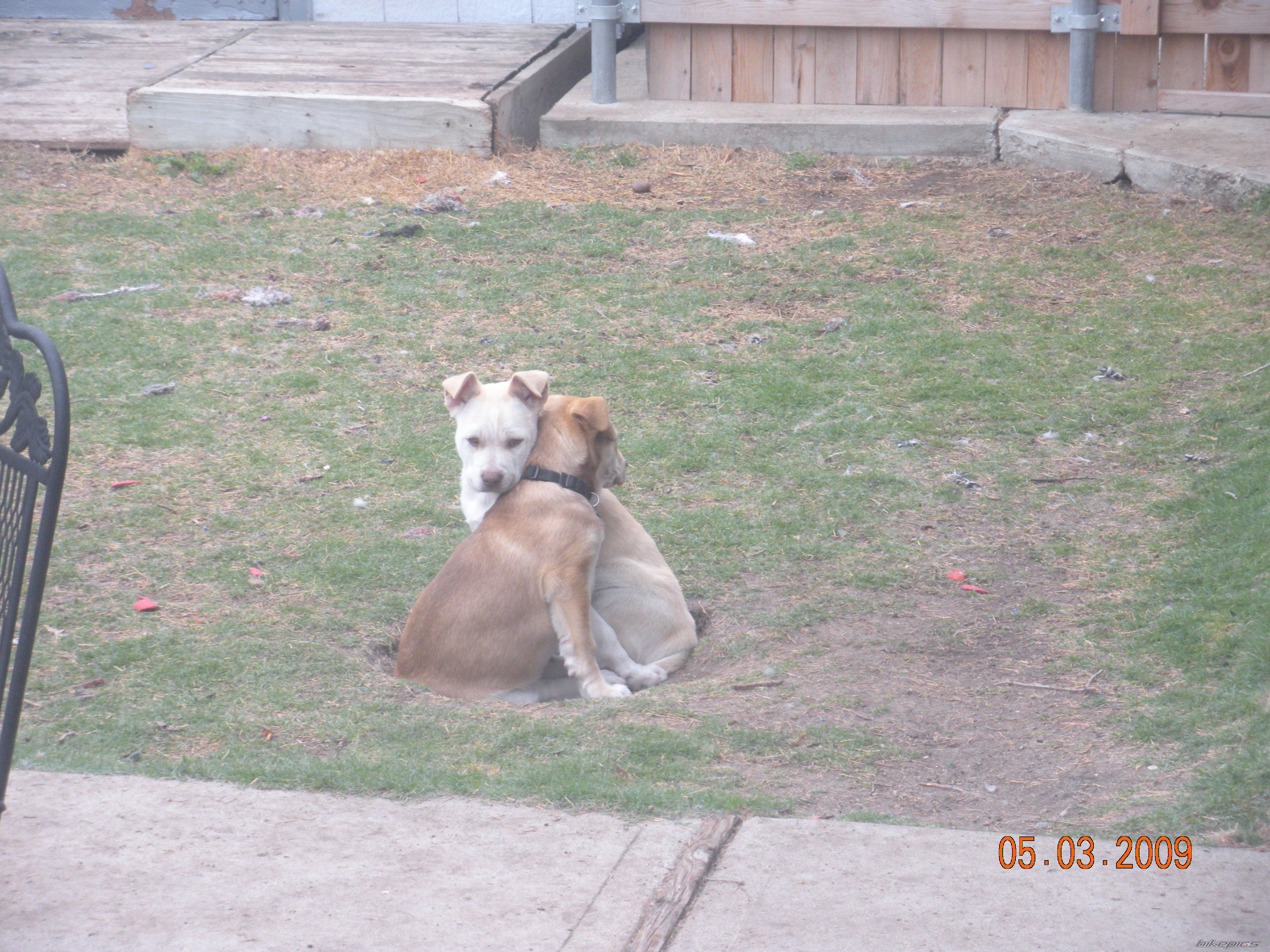 Photo 1655353