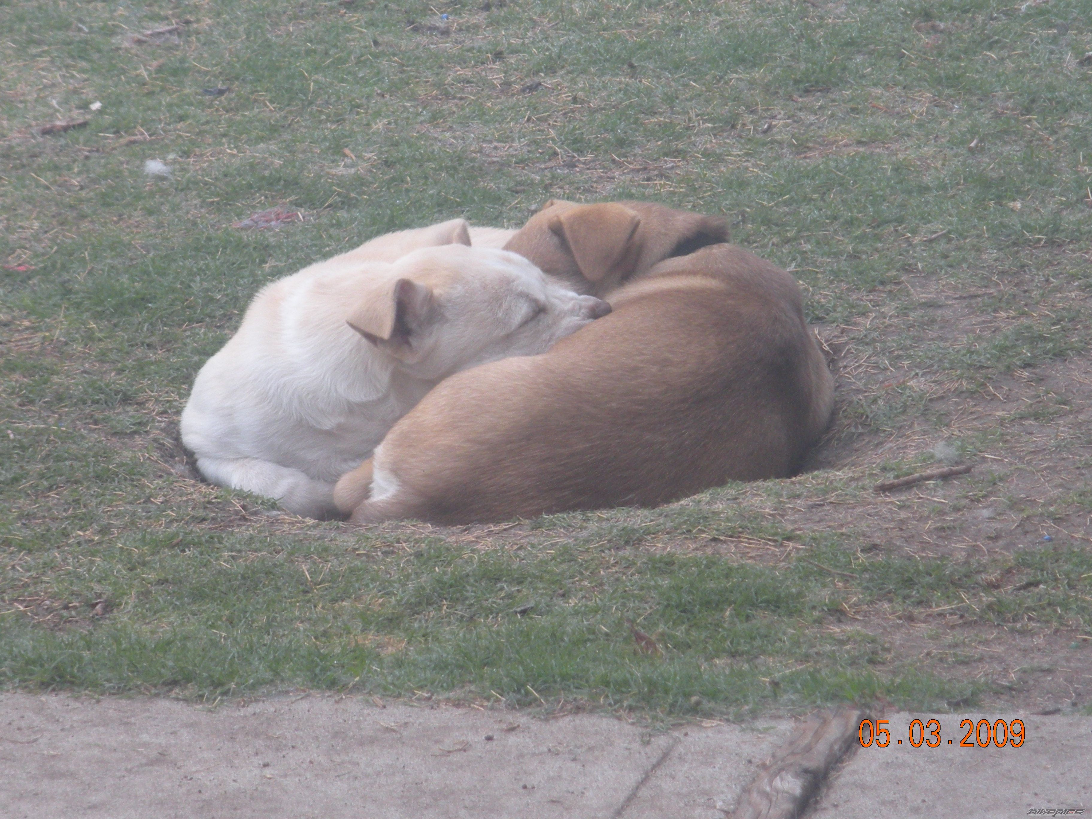 Photo 1655363