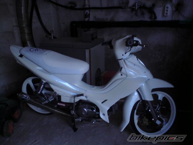 Photo 1655393