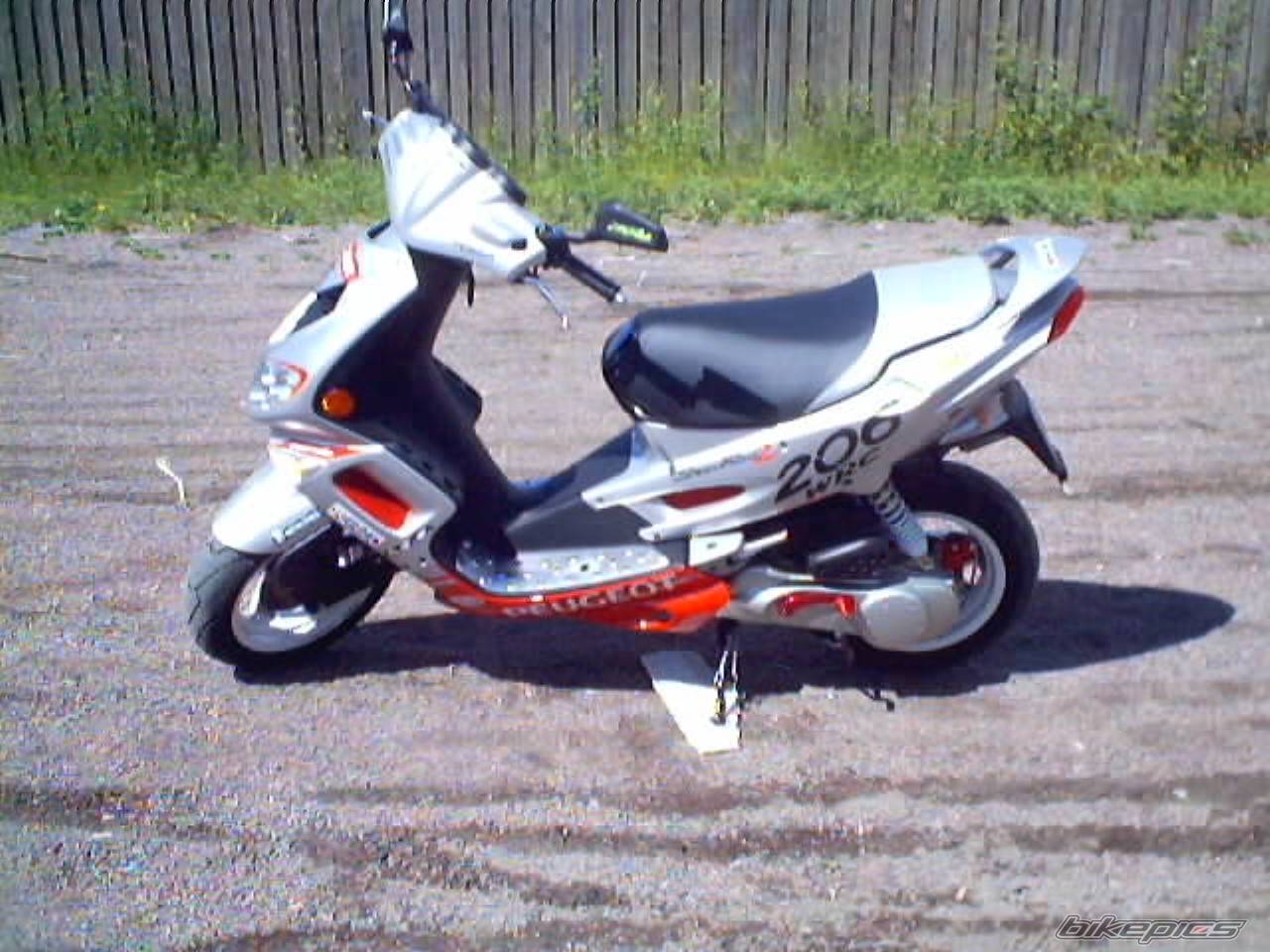 Photo 165541
