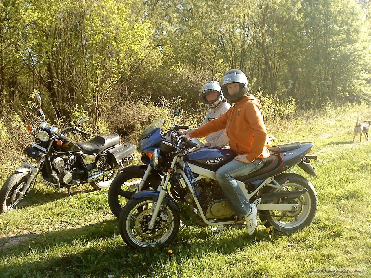 Photo 1655413