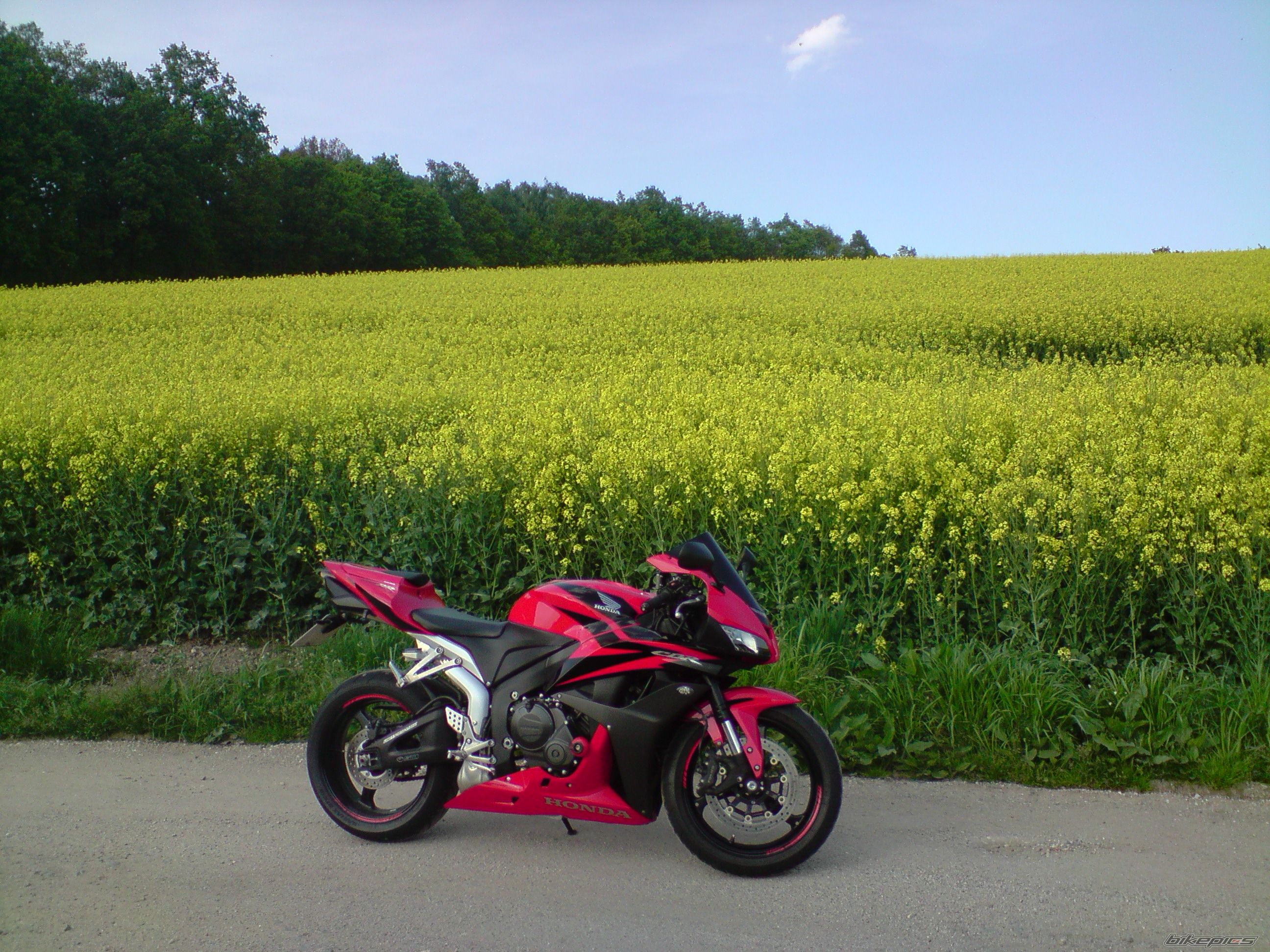 Photo 1655427