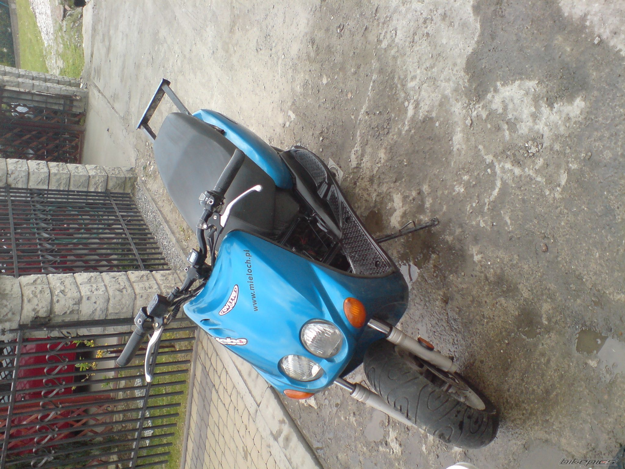 Photo 1655431